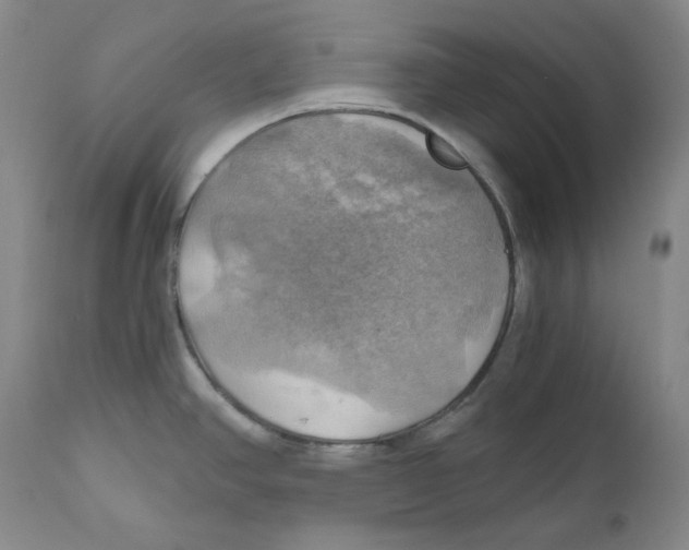 X0000111031390200907231610