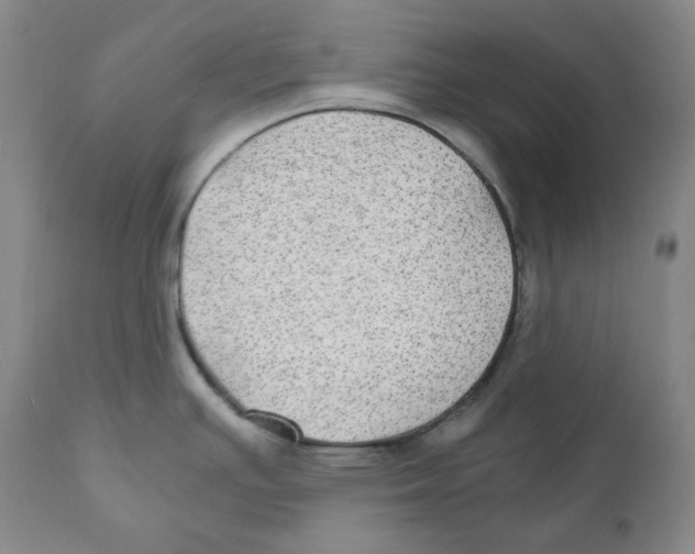 X0000111031391200907231610