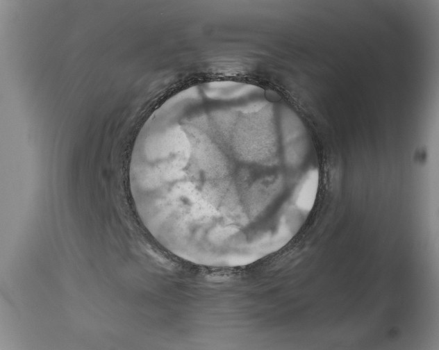 X0000111031393200907231609