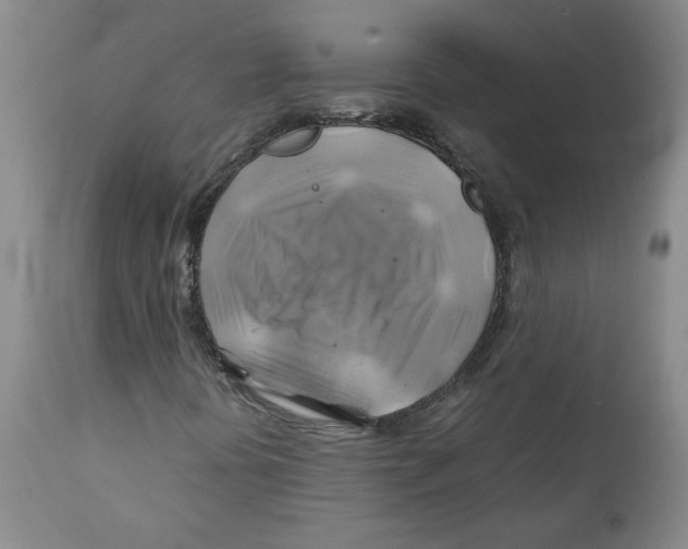 X0000111031394200907231609