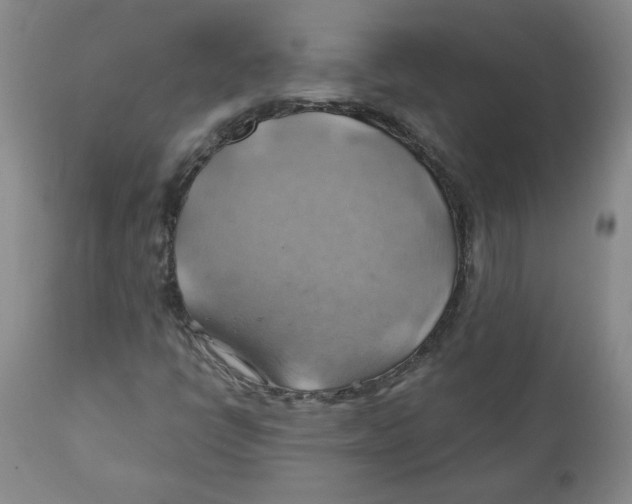 X0000111031398200907231609