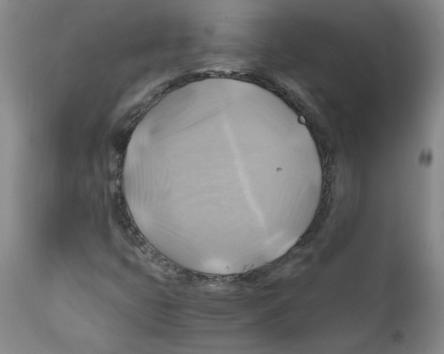 X0000111031399200907231609