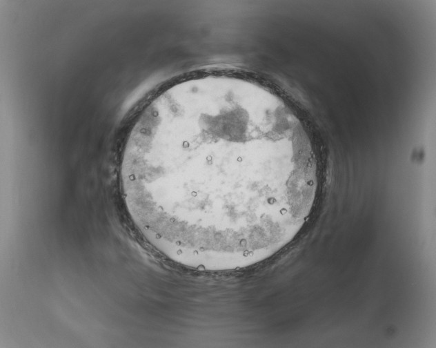 X0000111031400200907231609