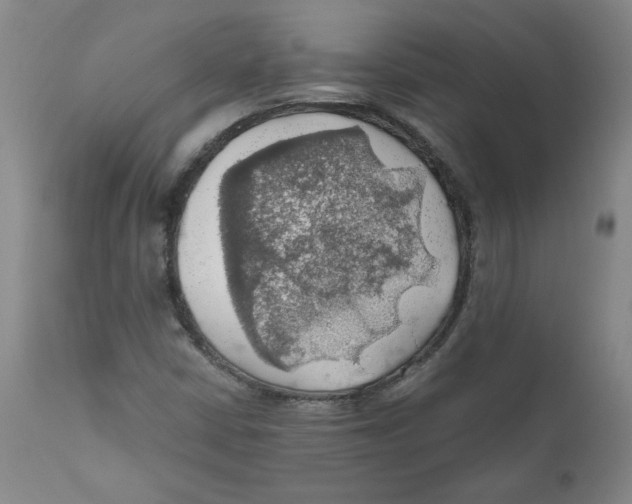 X0000111031402200907231609