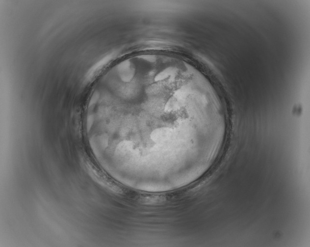 X0000111031403200907231609