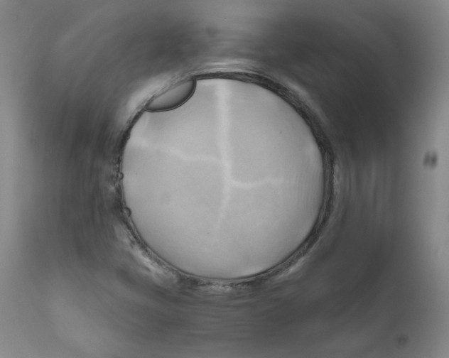 X0000111031405200907231609