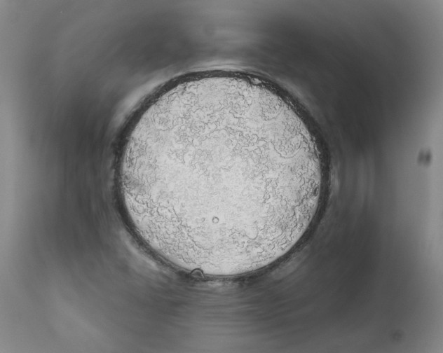 X0000111031406200907231609