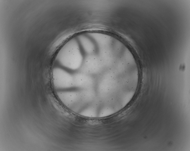 X0000111031407200907231609