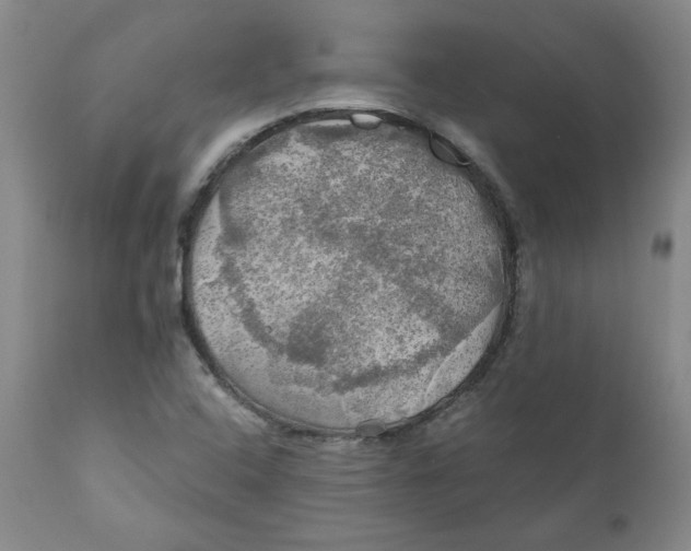 X0000111031408200907231609