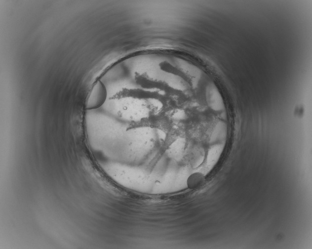 X0000111031409200907231609