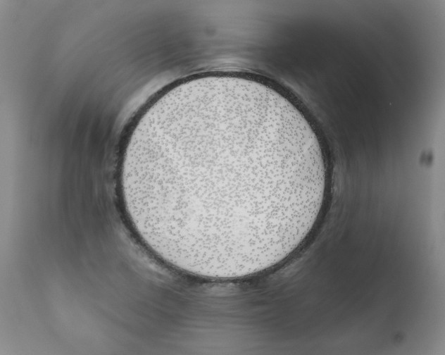 X0000111031410200907231610