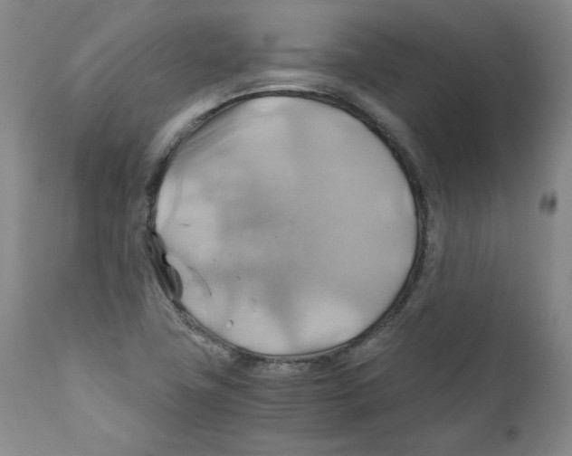 X0000111031411200907231610