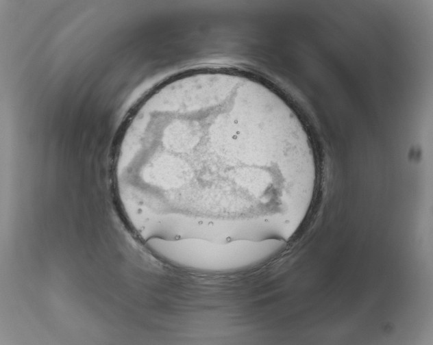 X0000111031412200907231610