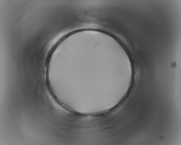 X0000111031414200907231610