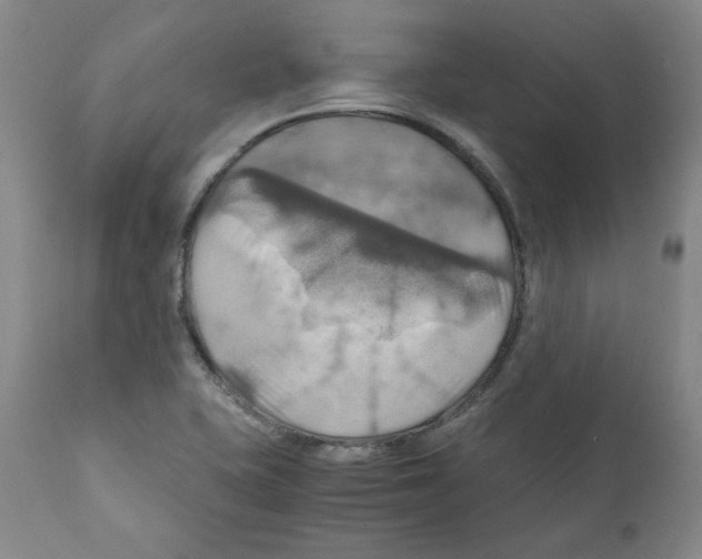 X0000111031415200907231610