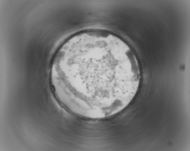 X0000111031416200907231610
