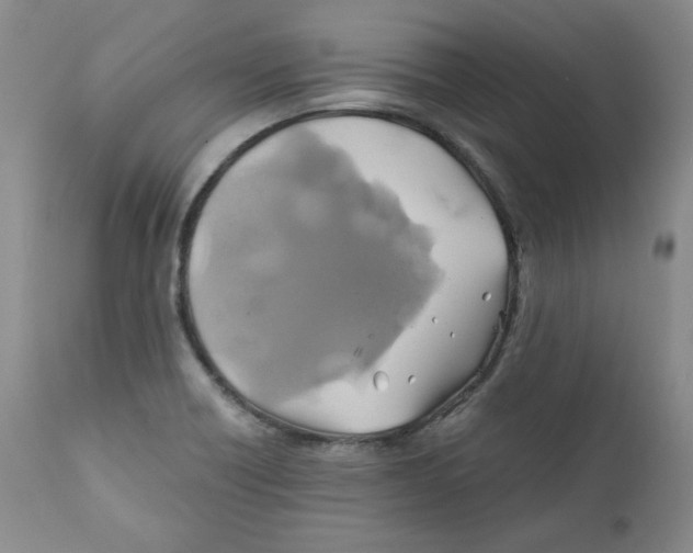 X0000111031418200907231610