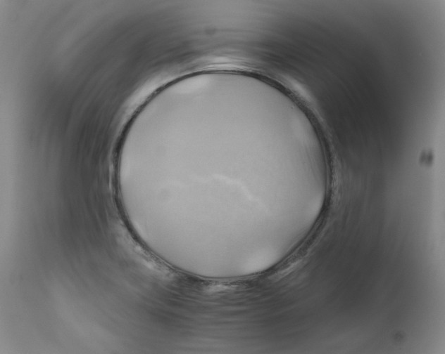 X0000111031419200907231610