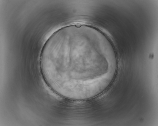 X0000111031423200907231610