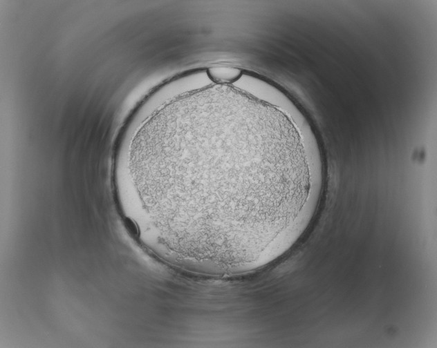 X0000111031424200907231610