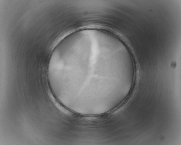 X0000111031425200907231610