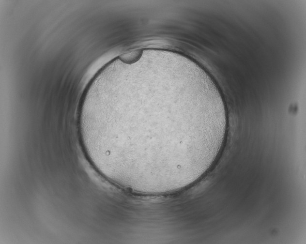 X0000111031426200907231610