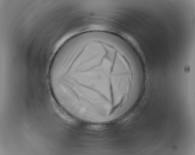 X0000111031427200907231610