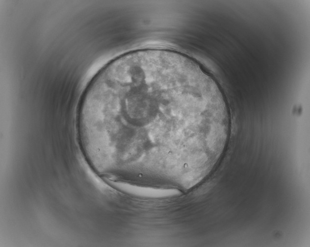 X0000111031430200907231610