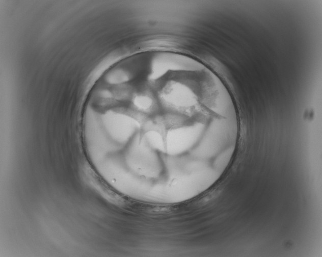 X0000111031435200907231610