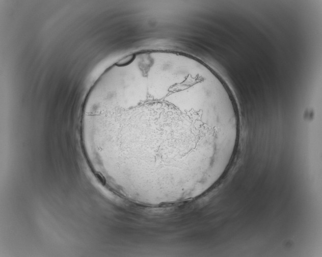 X0000111031437200907231610