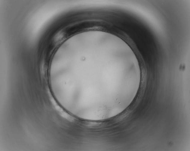 X0000111031439200907231610