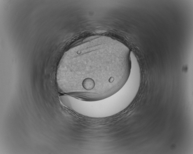 X0000111031441200907231609