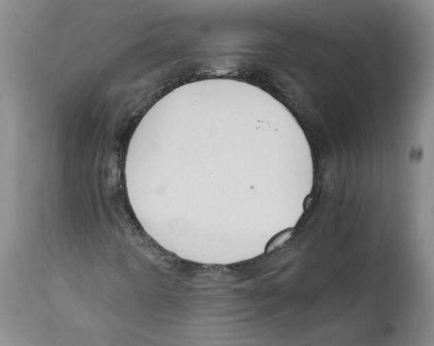 X0000111031442200907231609