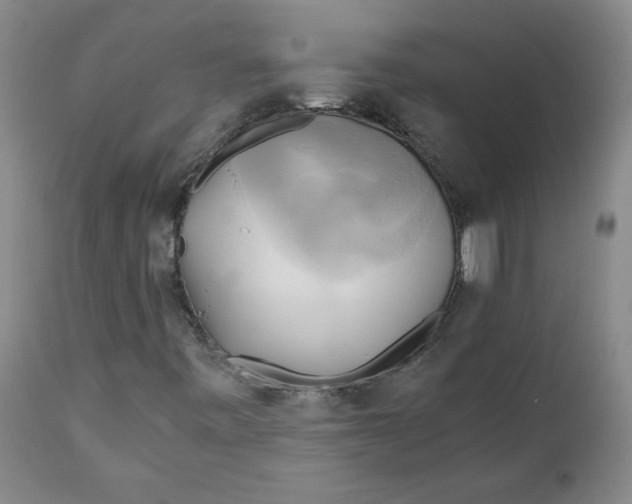 X0000111031443200907231609