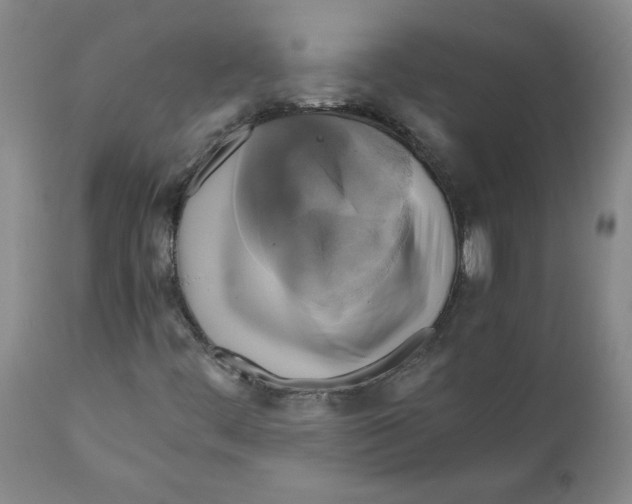 X0000111031444200907231609