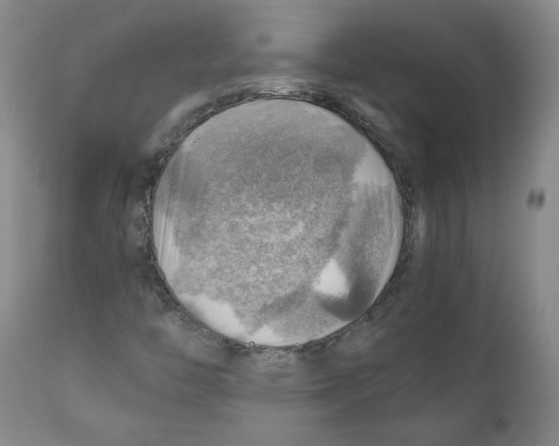 X0000111031446200907231609