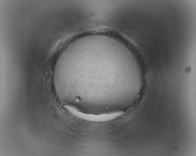 X0000111031447200907231609