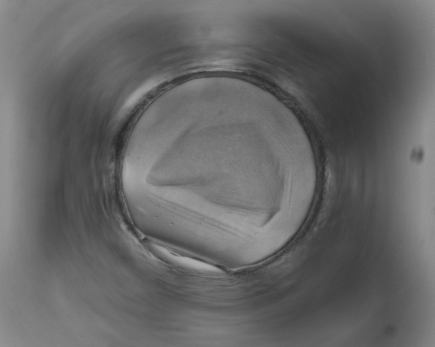 X0000111031450200907231609