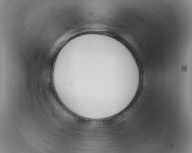 X0000111031451200907231609