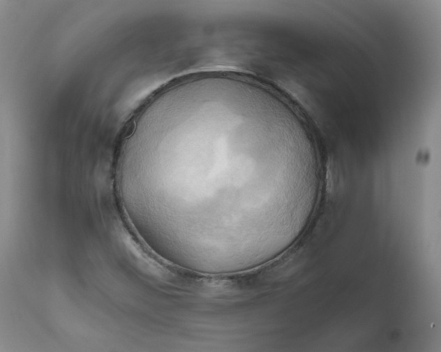 X0000111031452200907231609