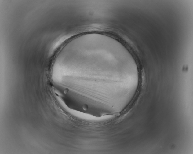 X0000111031453200907231609