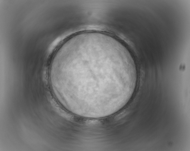 X0000111031454200907231609