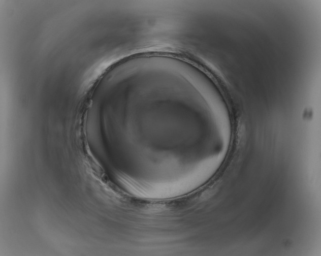 X0000111031455200907231609