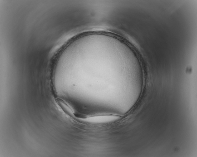 X0000111031456200907231609