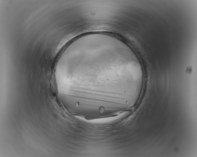 X0000111031457200907231609