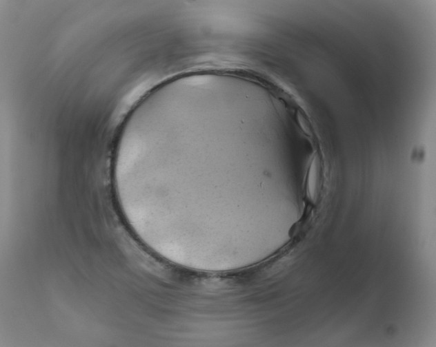 X0000111031459200907231609