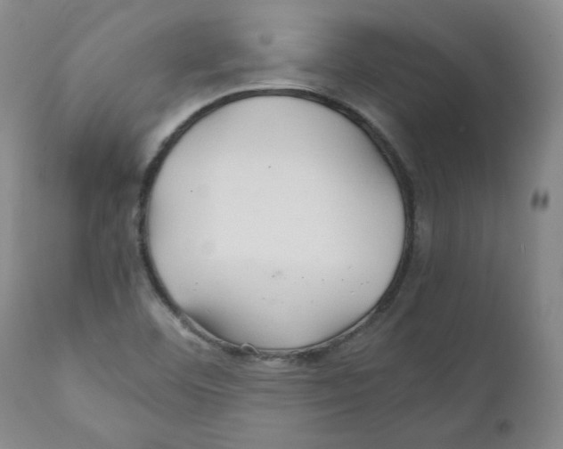 X0000111031460200907231609