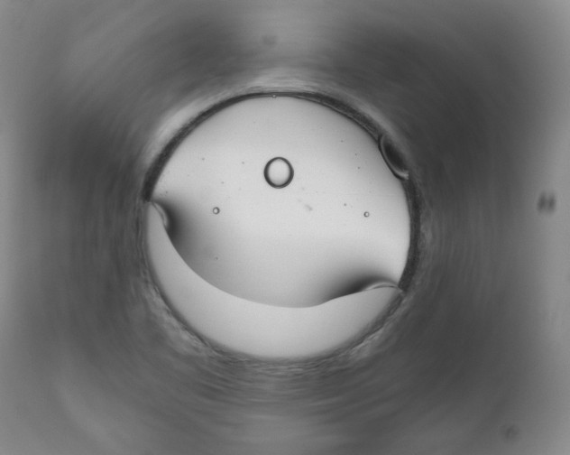 X0000111031461200907231609