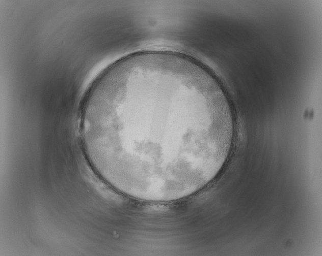 X0000111031462200907231609