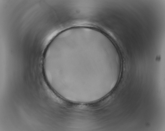 X0000111031463200907231609